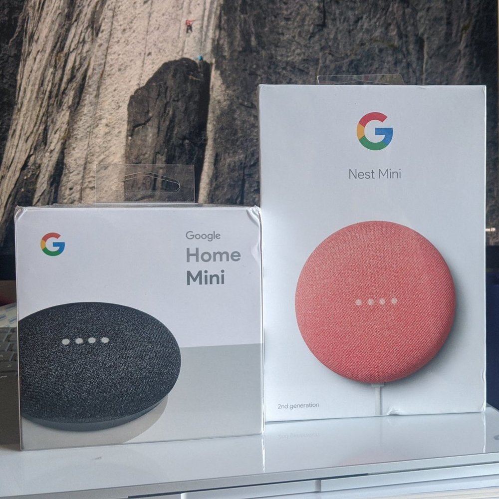 GOOGLE Nest Mini + Home Mini Bundle